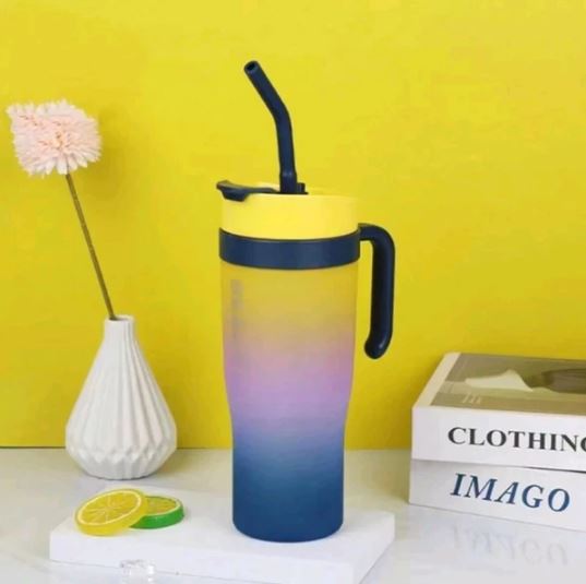 Premium 3 in 1 Beauty Water Bottles With Handle