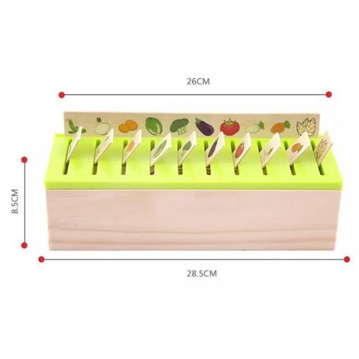 Wooden Knowledge Classification Box