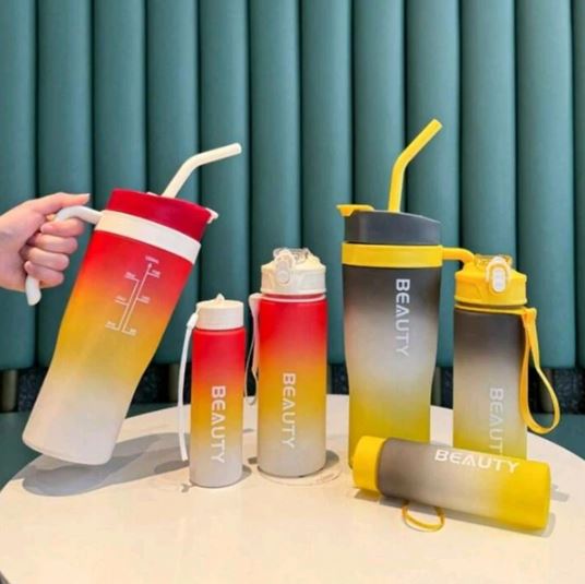 Premium 3 in 1 Beauty Water Bottles With Handle