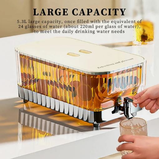 5.3L Fancy Cooler Iced Beverage Dispenser Sealed Lid Leakproof for Gathering | Cold Water Bottle