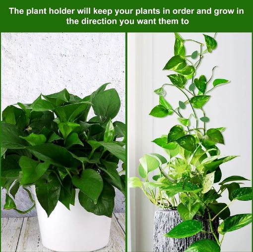 (Pack of 10) Leaf Shaped Self Adhesive Wall Climbing Clip