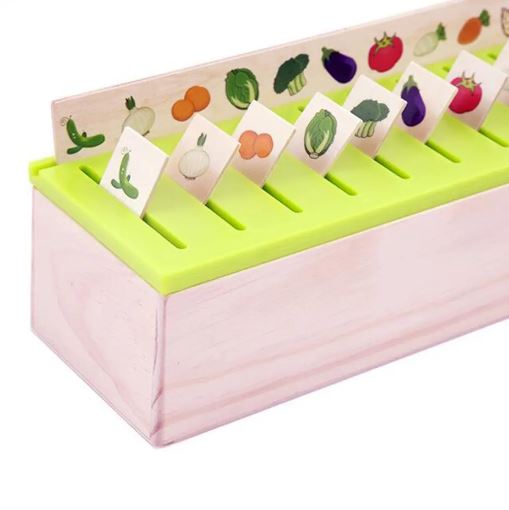 Wooden Knowledge Classification Box